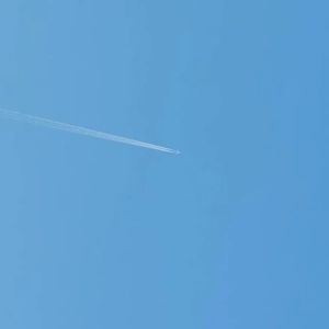 Meet your Posher, Loree